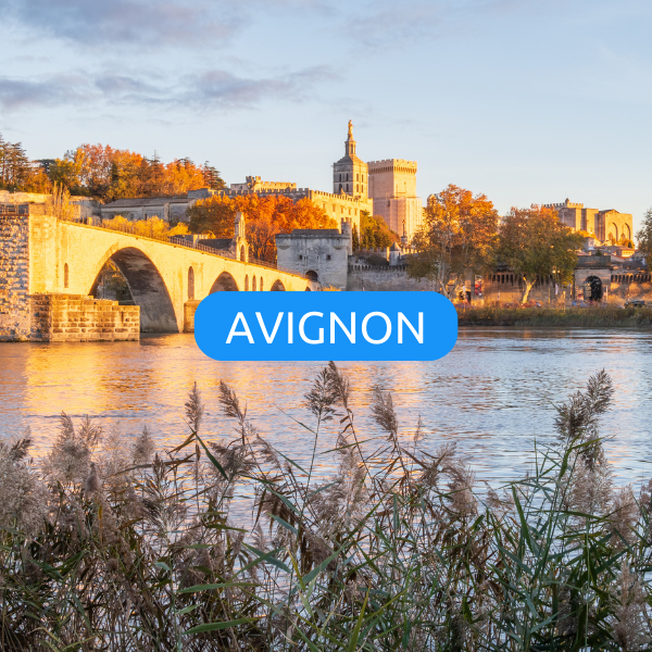 Avignon automne bons plans