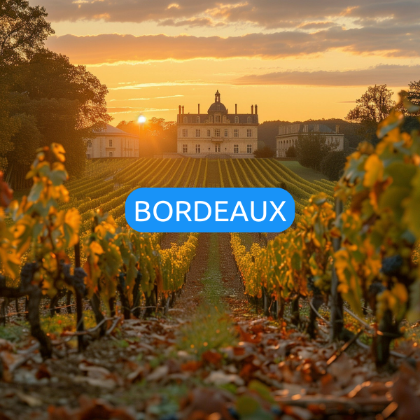 Bordeaux automne bons plans