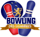Code promo et bon de réduction BOWLING DES LUMIERES DECINES-CHARPIEU : 10% DE REMISE