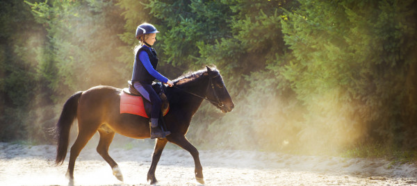 Bon De Réduction Equitation Codes Promo Sport Reducavenue